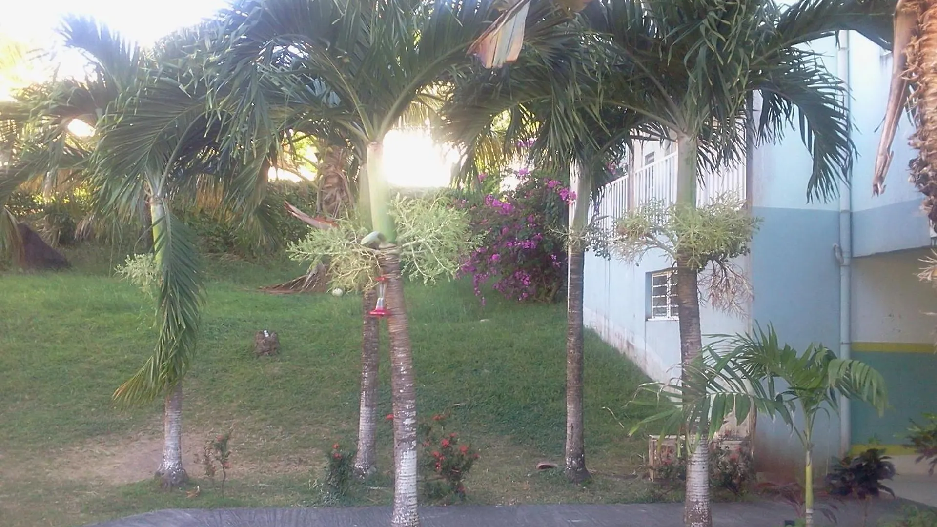 Grand Studio Tout Confort Dans Une Residence Calme Les Anses-d'Arlets Martinique