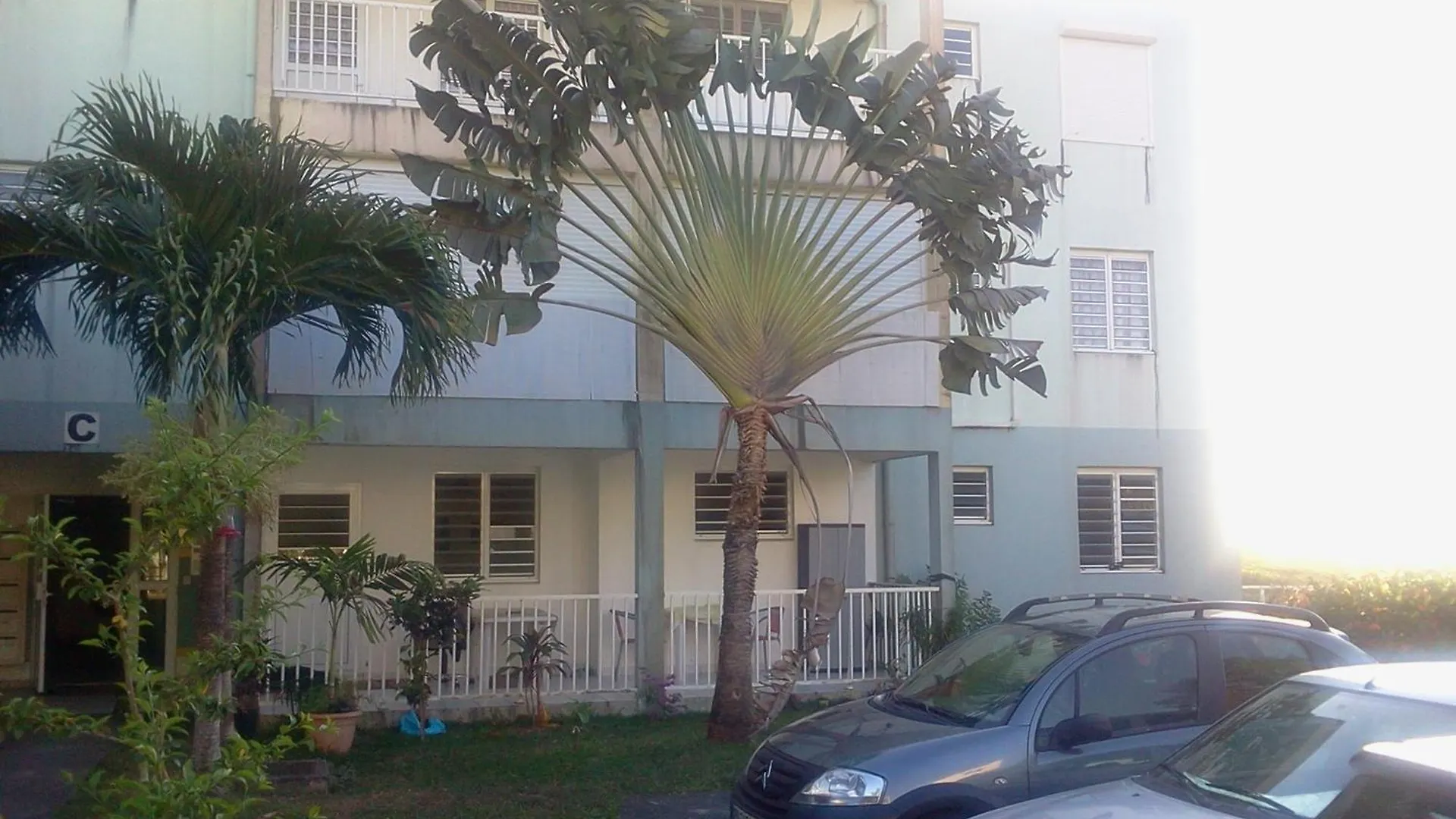 Grand Studio Tout Confort Dans Une Residence Calme Les Anses-d'Arlets Apartment